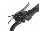 Vélo électrique 28'' Fischer Cita 2.1, moteur central Bafang