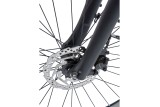 Cortina E-Silento Pro Courroie/moteur pédalier Shimano 60Nm/504Wh