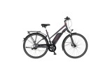 Vélo électrique 28'' Fischer Viator 1.0 moteur Bafang 48v