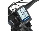 29" Fischer EM 1724/557Wh VTT à assistance électrique